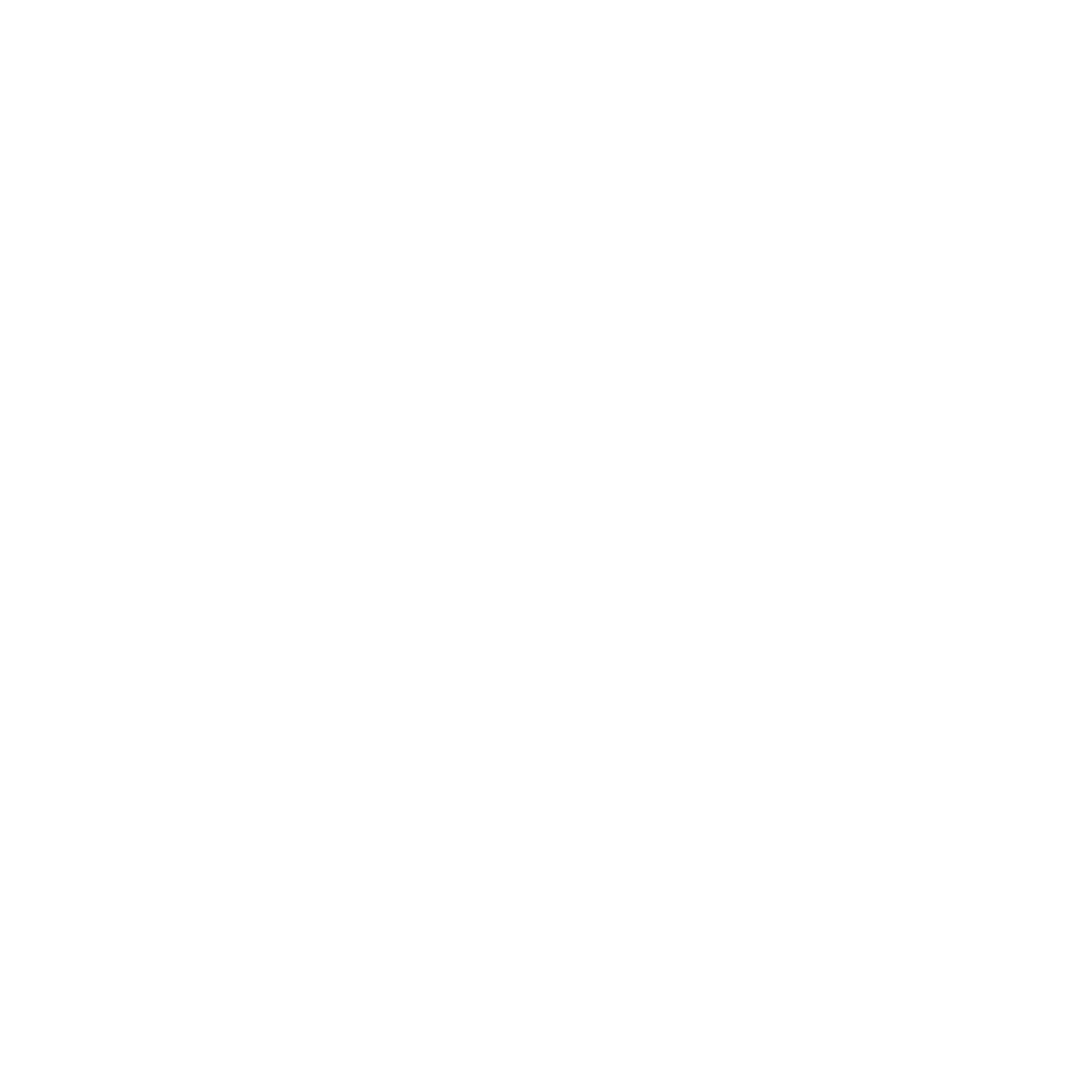 The Fighter's Mindset